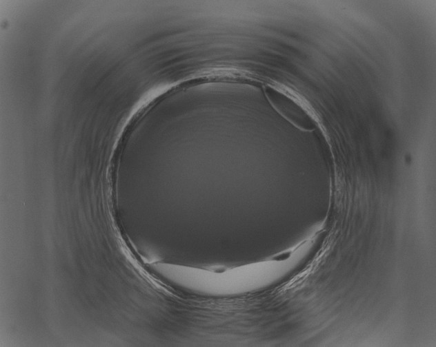 X0000062621045200601111029