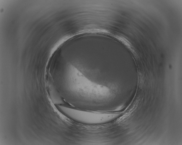 X0000062621046200601111029