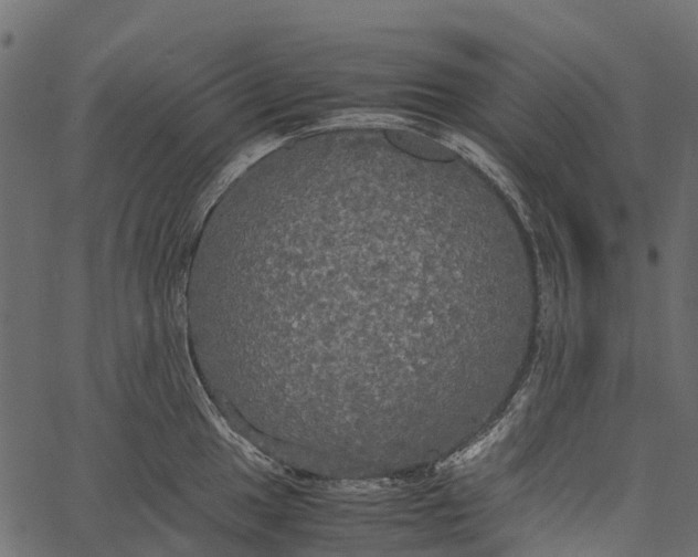 X0000062621049200601111029