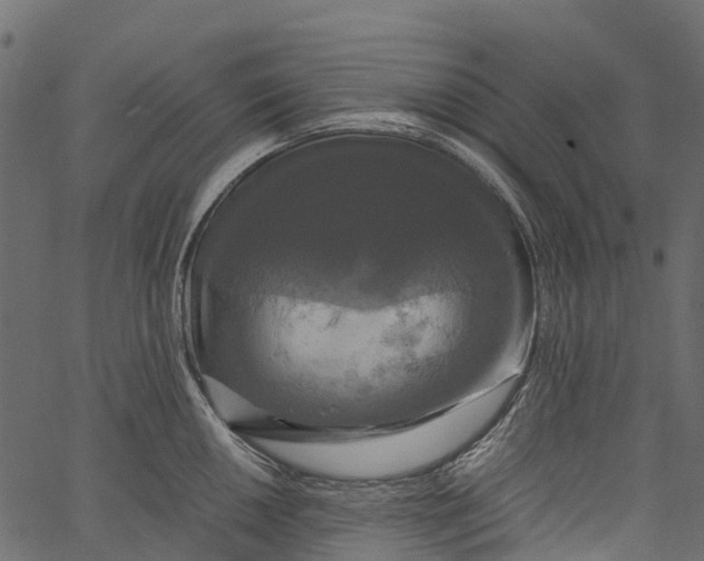 X0000062621050200601111029