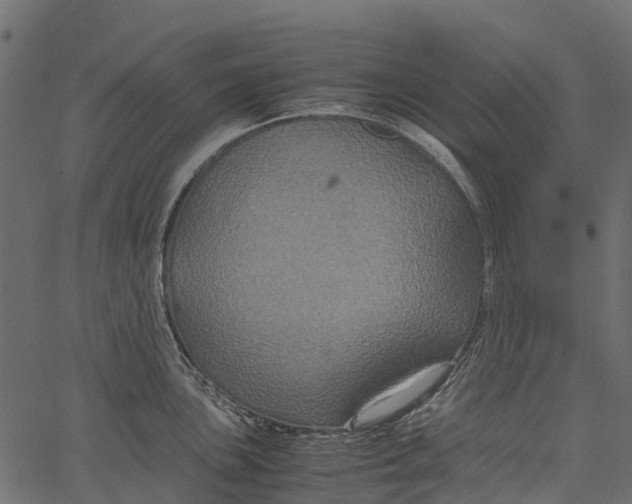 X0000062621051200601111029