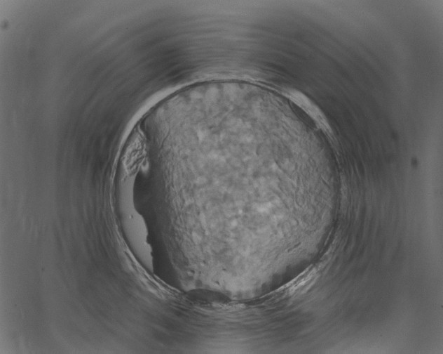 X0000062621052200601111029