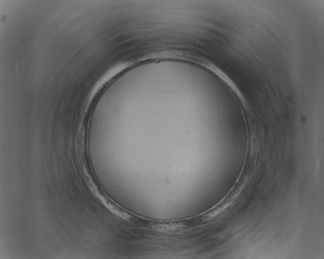 X0000062621053200601111029