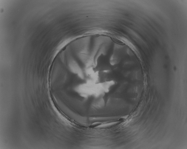 X0000062621055200601111029