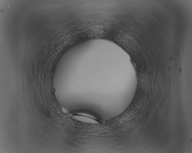 X0000062621057200601111028