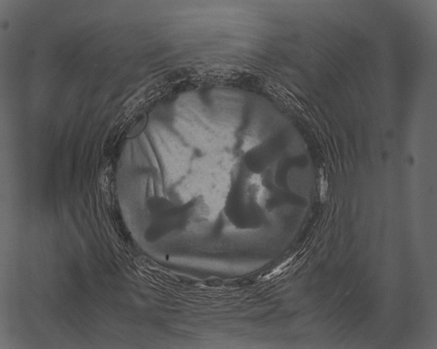 X0000062621059200601111028