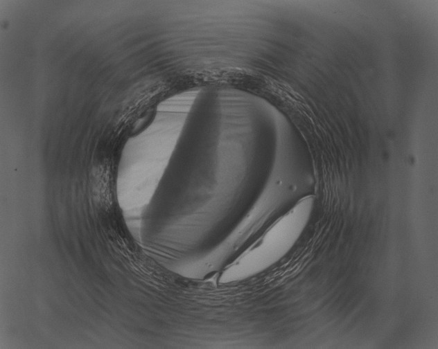 X0000062621060200601111028