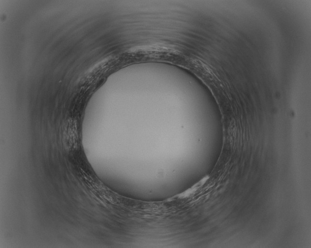 X0000062621062200601111028