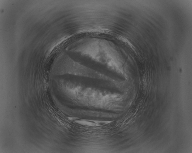 X0000062621064200601111028