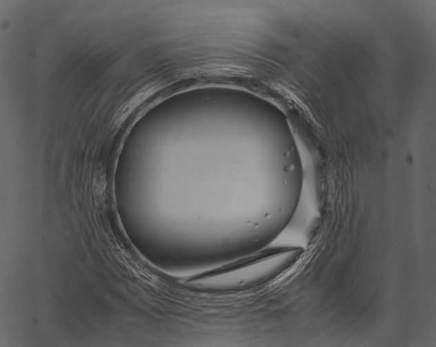 X0000062621065200601111028