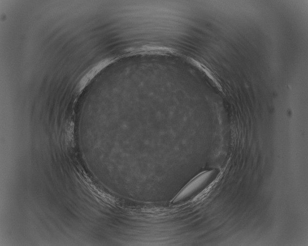 X0000062621066200601111028