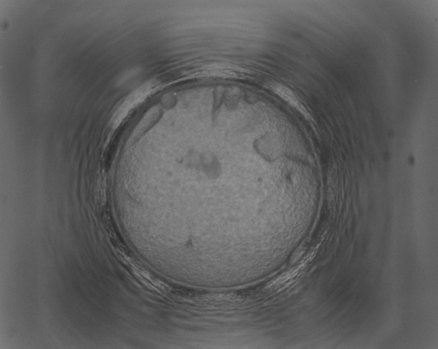 X0000062621067200601111028