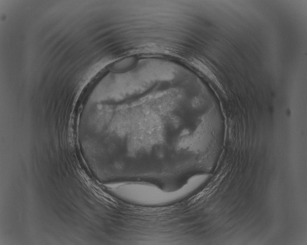 X0000062621068200601111028