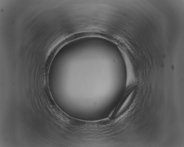 X0000062621069200601111028