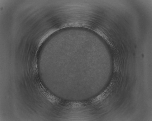 X0000062621070200601111028