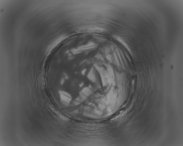 X0000062621071200601111028