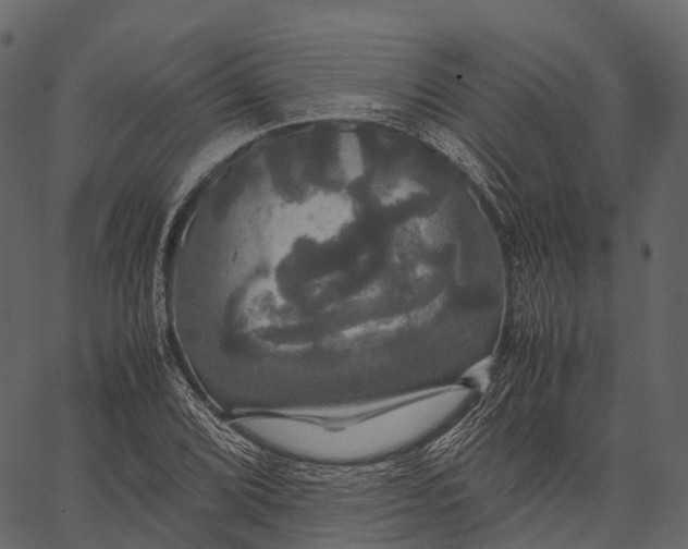 X0000062621072200601111028