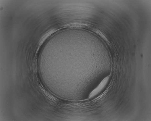 X0000062621075200601111028