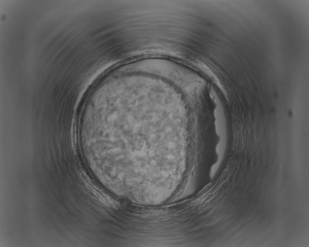 X0000062621076200601111028