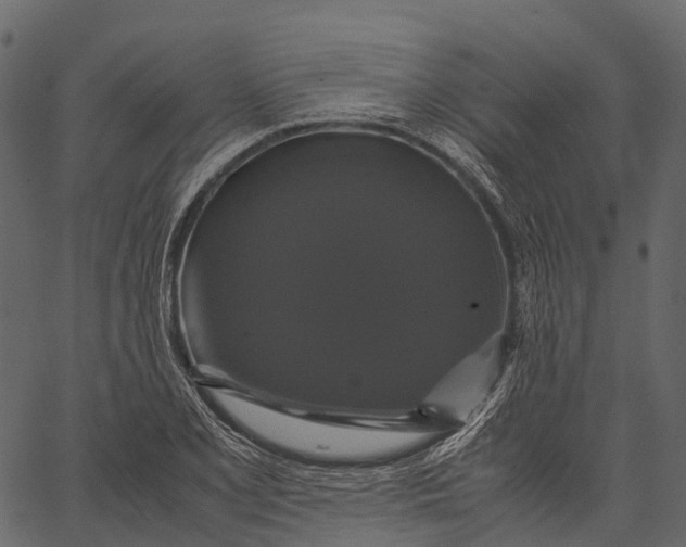 X0000062621077200601111028