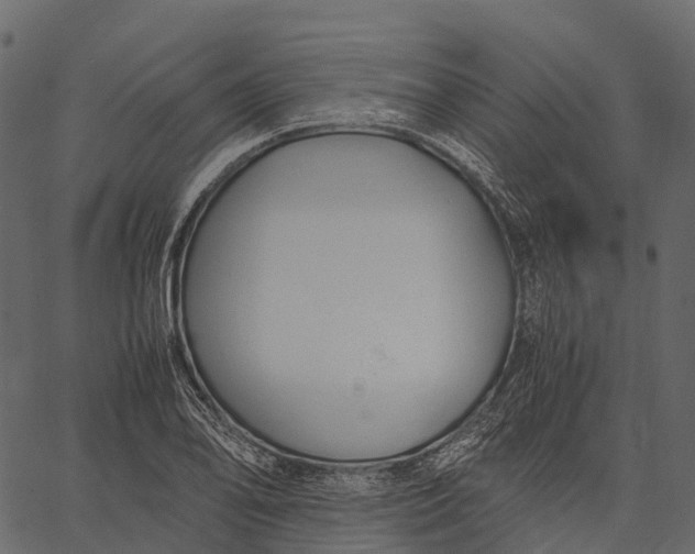 X0000062621078200601111028