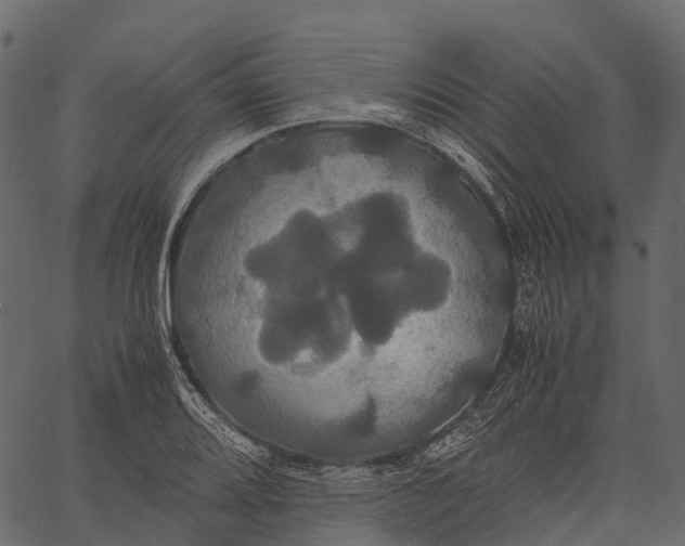 X0000062621080200601111028