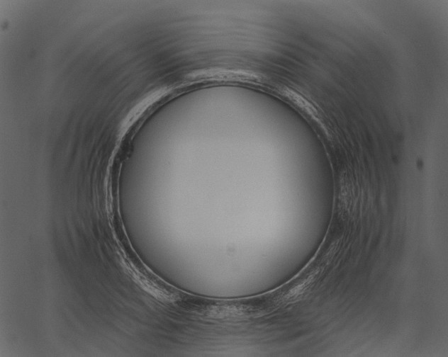 X0000062621082200601111028