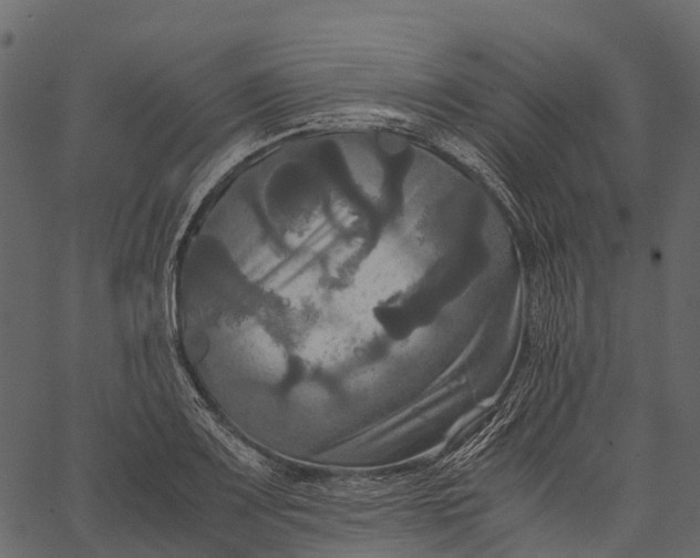 X0000062621083200601111028