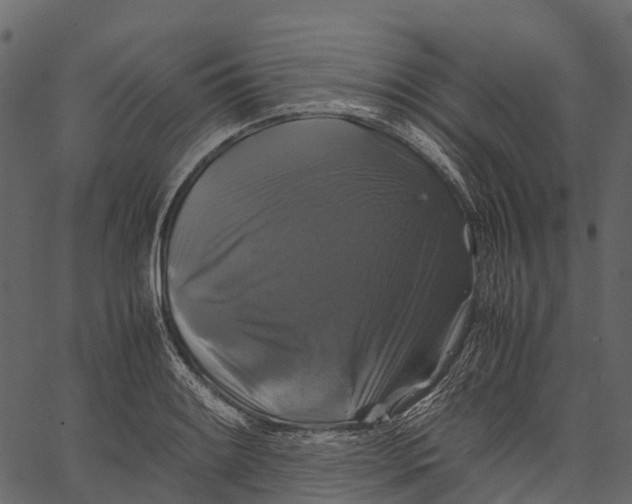 X0000062621084200601111028