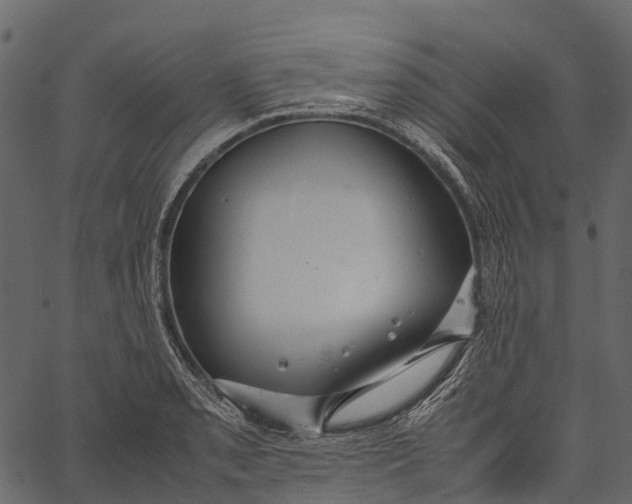 X0000062621085200601111028