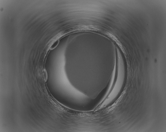 X0000062621089200601111028