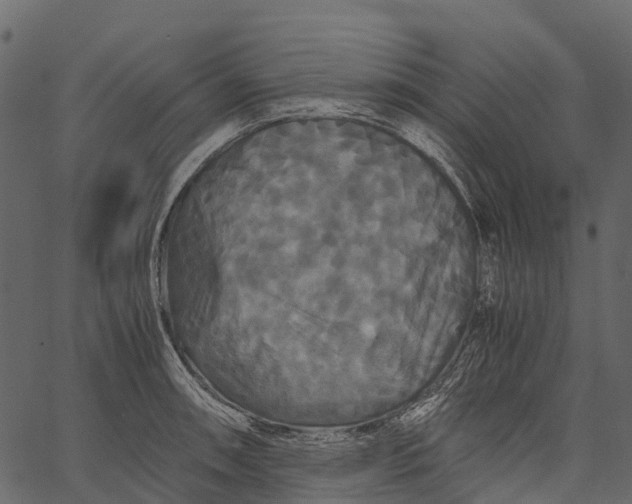 X0000062621090200601111028