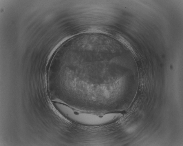 X0000062621092200601111028