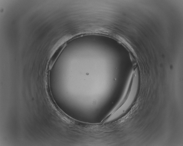 X0000062621093200601111028