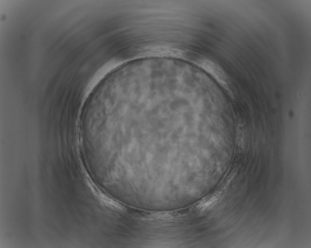 X0000062621094200601111028