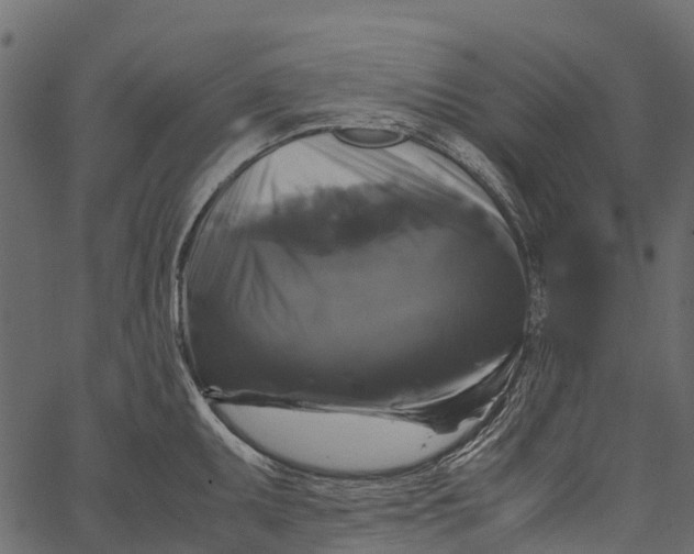 X0000062621095200601111028