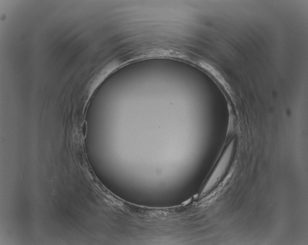 X0000062621097200601111028