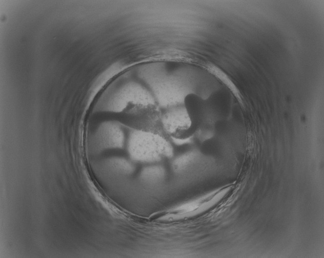 X0000062621099200601111028