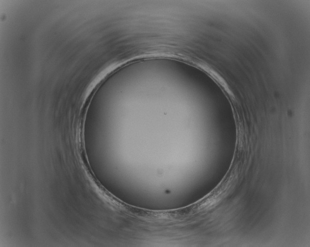 X0000062621101200601111028