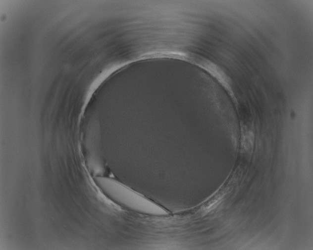 X0000062621102200601111028