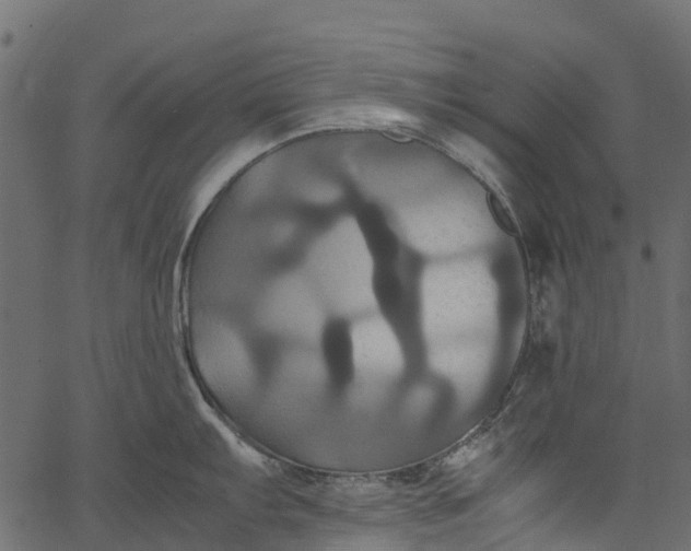 X0000062621103200601111028