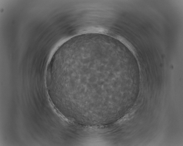 X0000062621104200601111028