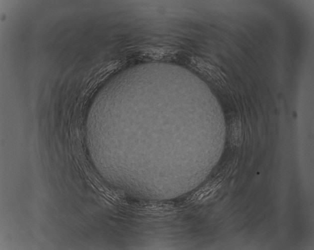 X0000062621105200601111027