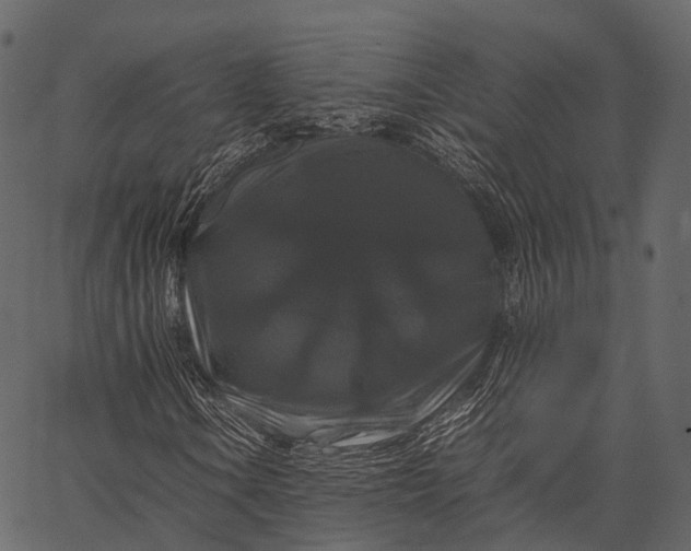 X0000062621106200601111027