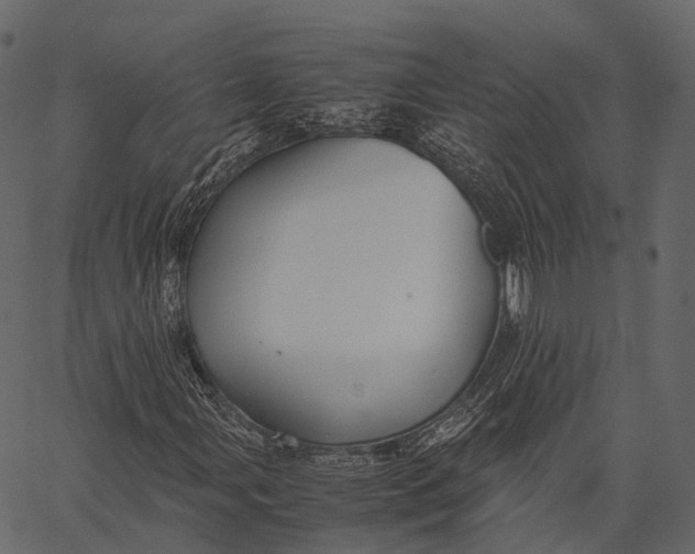 X0000062621107200601111027