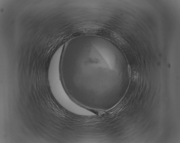 X0000062621108200601111027