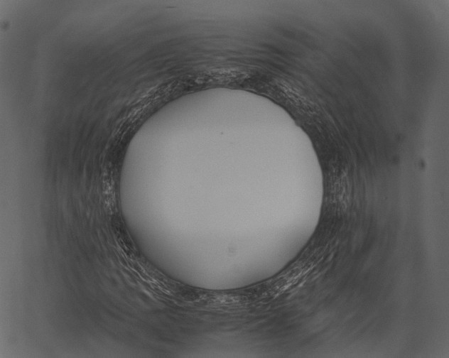 X0000062621109200601111027