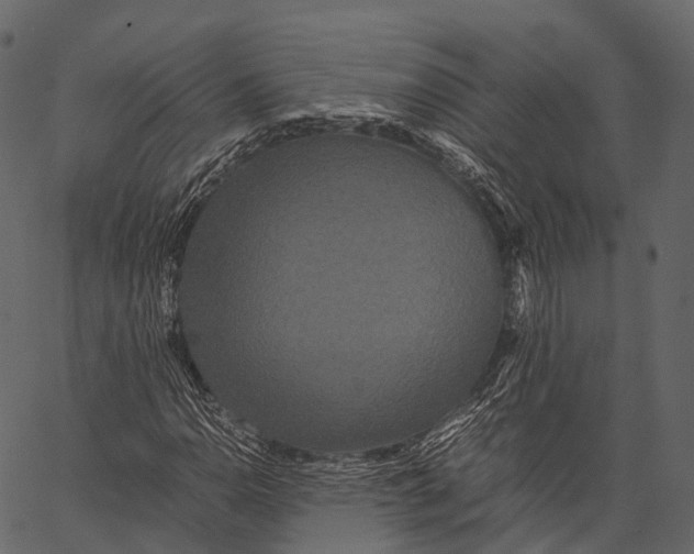 X0000062621110200601111027