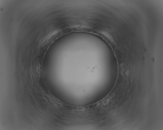 X0000062621111200601111027