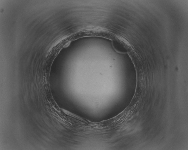 X0000062621112200601111027